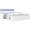 Image de Cadre De Lit À Rangement Hydraulique Sans Matelas Avec Led Vidaxl