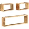 Image de vidaXL Ensemble détagère cube 3 pcs bois solide de manguier 285844