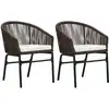 Image de Chaises De Jardin Lot De 2 Marron Rotin Pe Vidaxl