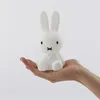 Image de Veilleuse Bundle of Light - Mr Maria - - Miffy