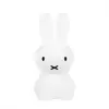 Image de Veilleuse First Light Miffy Mr Maria