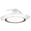 Image de Philips Plafonnier Ventilateur Bliss 35+28 W