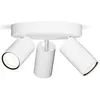 Image de Philips Idris 8720169299153 Spot de plafond GU10 blanc