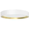 Image de Plafonnier LED - PHILIPS - Hanno - 24 W - Luminosité variable - Métal doré