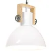 Image de Lampe Suspendue Industrielle 25 W Blanc Rond 30 Cm E27 Vidaxl