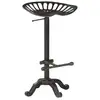 Image de Tabouret De Bar Noir Fonte Vidaxl