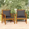 Image de Chaises De Canapé Coussins Gris Foncé Lot De 2 Acacia Massif Vidaxl