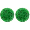 Image de Boules De Buis Artificielles 2 Pcs 22 Cm Vidaxl
