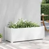 Image de vidaXL Lit surélevé de jardin PP Blanc 100x43x35 cm