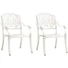 Image de Chaises De Jardin Lot De 2 Aluminium Coulé Blanc Vidaxl