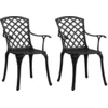 Image de Chaises De Jardin Lot De 2 Aluminium Coulé Noir Vidaxl
