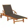 Image de Chaise Longue De Jardin Avec Coussin Bois D'acacia Solide Vidaxl