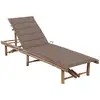 Image de Chaise Longue De Jardin Avec Coussin Bambou Vidaxl