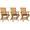 Image de Chaises De Jardin Coussins Anthracite Lot De 3 Bois De Teck Vidaxl
