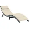 Image de Chaise Longue Avec Coussin Gris Bois D'acacia Solide Vidaxl