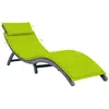 Image de Chaise Longue Avec Coussin Gris Bois D'acacia Solide Vidaxl