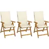 Image de Chaises Pliables De Jardin Lot De 3 Avec Coussins Bois D'acacia Vidaxl