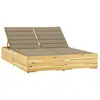 Image de Chaise Longue Double Et Coussins Beige Bois De Pin Imprégné Vidaxl