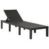Image de vidaXL Chaise longue plastique anthracite 315827
