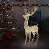 Image de vidaXL Renne de Noël Décoration de Vacances Renne Lumineux Jardin Patio Arrière-cour Extérieur Acrylique XXL 250 LED 180 cm 329785