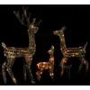 Image de Famille De Rennes De Décoration Acrylique 300 Led Coloré Vidaxl