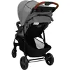 Image de Poussette Pour Bébé 2-en-1 Gris Clair Acier Vidaxl