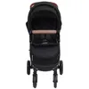 Image de vidaXL Poussette pour Bébé 2-en-1 Landau Pliable pour Tout-petit Enfants Poussette de Voyage Protection contre Rayons UV 10372