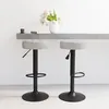 Image de vidaXL Lot de 2 Tabourets de Bar Chaise de Pub Siège de Bistrot Meuble de Salle à Manger Cuisine Salon Maison Intérieur 332995