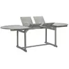Image de Table À Dîner De Jardin (160-240)x100x75cm Bois D'acacia Massif Vidaxl