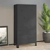 Image de Garde-robe industrielle - VIDAXL - Anthracite - 2 étagères - 1 barre de penderie