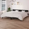 Image de Cadre De Lit Sans Matelas Noir Bois Massif Vidaxl
