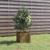 Image de vidaXL Jardinière extérieur Marron miel 31x31x31 cm Bois de pin massif