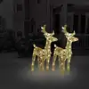 Image de Rennes De Noël 2 Pcs 80 Led Blanc Chaud Acrylique Vidaxl