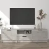 Image de vidaXL Meuble TV Centre de Divertissement Armoire Basse Armoire Stéréo Meuble de Salon Salle de Séjour Gris Béton 811452