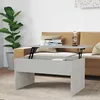 Image de vidaXL Table basse Gris béton 80x505x415 cm Bois dingénierie 809642