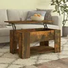 Image de vidaXL Table Basse Table dAppoint Bout de Canapé Meuble de Salon Salle de Séjour Intérieur Chêne Fumé 79x49x41 cm 819275
