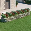Image de Lit Surélevé À Gabion Fer Galvanisé 500x100x50 Cm Vidaxl