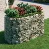 Image de Lit Surélevé À Gabion Fer Galvanisé 200x100x100 Cm Vidaxl