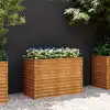 Image de Jardinière Surélevée 100x50x69 Cm Acier Corten Vidaxl