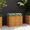 Image de vidaXL Lit surélevé de jardin 100x50x69 cm acier corten 151984