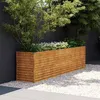 Image de vidaXL Jardinière surélevée 291 x 50 x 69 cm 151986