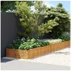 Image de Lit surélevé de jardin 1150x100x36 cm acier corten