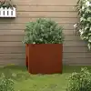 Image de Jardinière 32x30x29 Cm Acier Corten Vidaxl