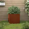 Image de Jardinière 42x40x39 Cm Acier Corten Vidaxl