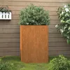 Image de vidaXL Jardinière Pot de Fleurs de Jardin Bac à Plantes de Terrasse Boîte de Plantation dExtérieur pour Légumes Herbes 821554
