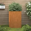 Image de vidaXL Jardinière Pot de Fleurs de Jardin Bac à Plantes de Terrasse Boîte de Plantation dExtérieur pour Légumes Herbes 821555