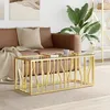Image de Table Basse 110x45x45 Cm Acier Inoxydable Et Verre Vidaxl