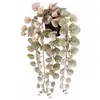 Image de Plante Décorative Mica Decorations Ceropegia Woodii 10 X 46 X 12 Cm Artificielle A Accrocher