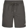 Image de Short de bain Gris Homme ONeill 200 17016