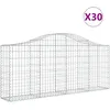Image de Paniers À Gabions Arqués 30 Pcs 200x30x80/100 Cm Fer Galvanisé Vidaxl